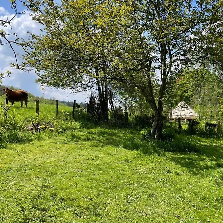 Grange De Lesse Guest house